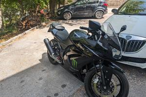 Kawasaki ninja 250r