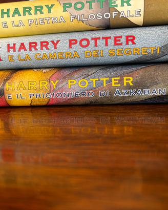 saga harry potter 7 libri