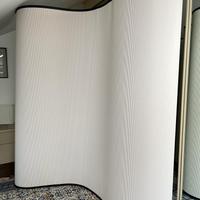 Cartoons baleri italia