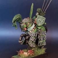 Green Knight Bretonnia, Cavaliere Verde