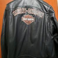 Giubbotto Harley Davidson pelle taglia L
