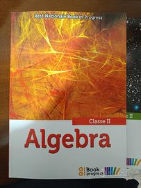 libro algebra book in progress 