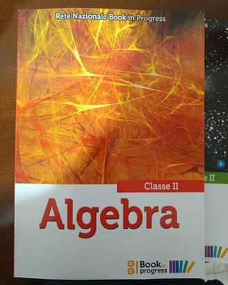 libro algebra book in progress 