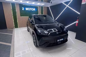 Byd Dolphin Surf 43,2 kWh Boost