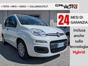 fiat-panda-1-0-firefly-hybrid-24-mesi-di-garanzia