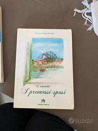 Vi racconto i promessi sposi