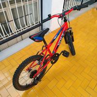 Bicicletta 18 pollici per bambini