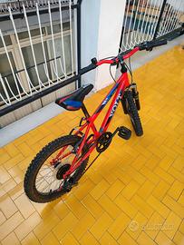 Bicicletta 18 pollici per bambini