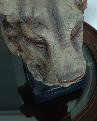Scultura testa di leonessa