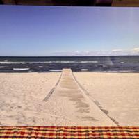 #Canvas #quadro #natura #foto