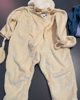 Vestito carnevale