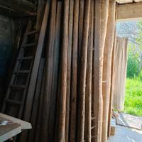 pali di legno con punta circa 2.5 metri