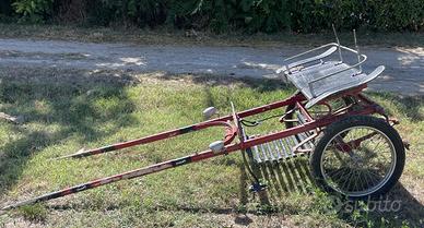 Calesse Biga Bighetta cavallo per trasporto person