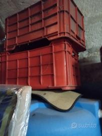 Casette in plastica per uva