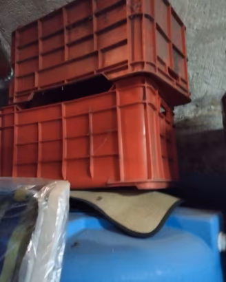 Casette in plastica per uva