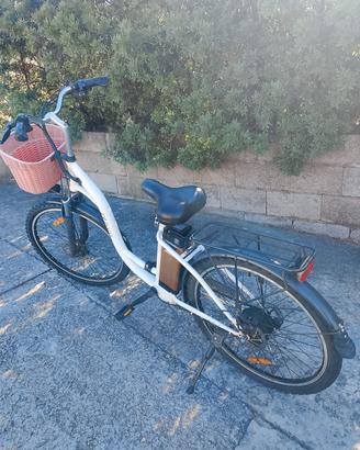 bicicletta elettrica 