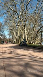 Signora italiana aziende ,imprese ecc