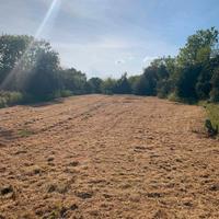 Vendita terreno ittiri