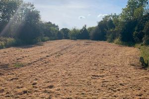 Vendita terreno ittiri