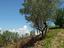 Immagine 15