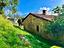 Immagine 10