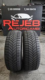 Coppia pneumatici 225/75r16c michelin