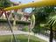 Immagine 6