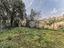 Immagine 16