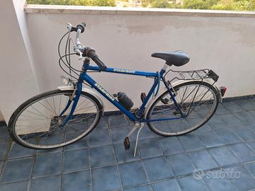 bicicletta da uomo 