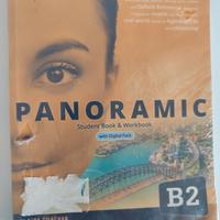 Panoramic B2