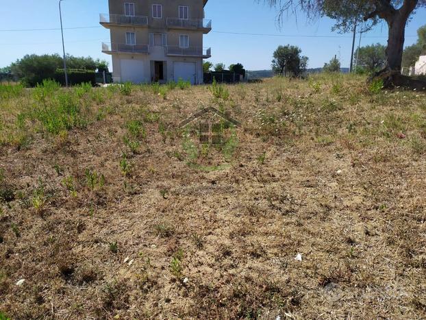 Terreno edificabile - Massignano