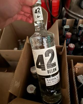Vodka 42 Below - cartone intero
