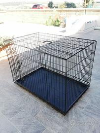 Kennel cani