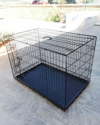 Kennel cani