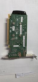 Scheda Grafica NVIDIA Quadro 600 1GB GDDR3 PCI-E