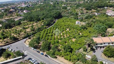 TER. AGRICOLO A SANTA VENERINA