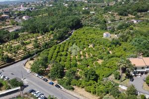 TER. AGRICOLO A SANTA VENERINA