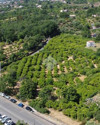 TER. AGRICOLO A SANTA VENERINA
