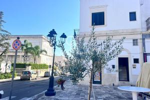 Appartamento indipendente - Cutrofiano
