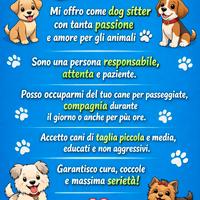 Dog Sitter