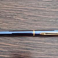 Penna Waterman stilografica 