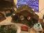 Immagine 2