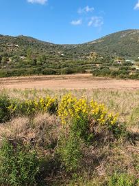 Terreni a san vittore olbia