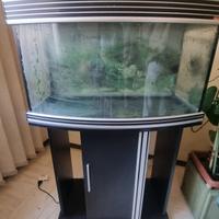 Acquario 150 lt