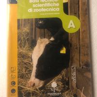 Libro scolastico