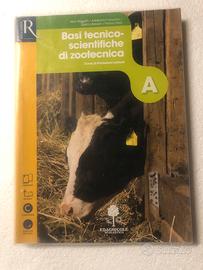 Libro scolastico