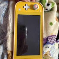 Nintendo switch lite