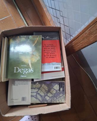 Scatole libri