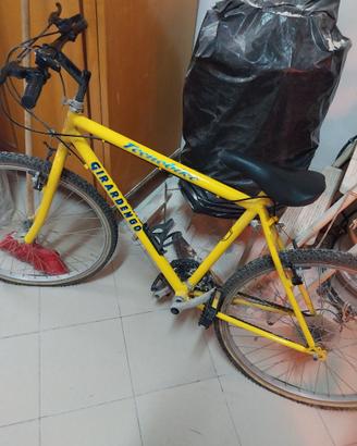 Bicicletta