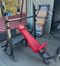 Panatta panca inclinata